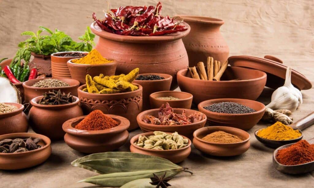 The Role of Spices and Herbs in Indian Dishes | Exploring the Health Conscious Side of Indian Cuisine at Spice N Ice